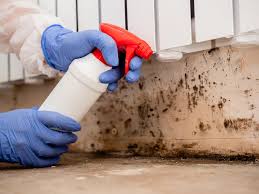 Asbestos and Lead Testing During Mold Inspection in Aviston, IL